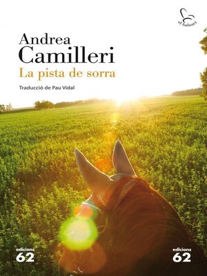 cover image of La pista de sorra